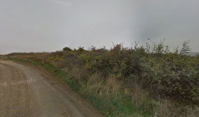 Miljana Miljanića 3V