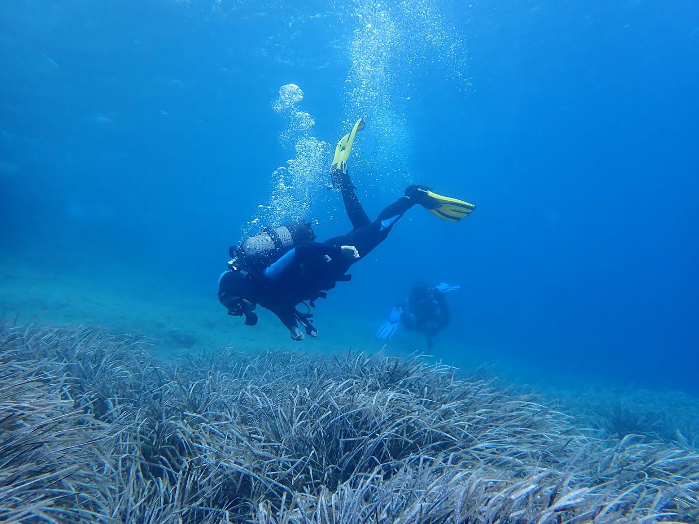 Diving Center Viking