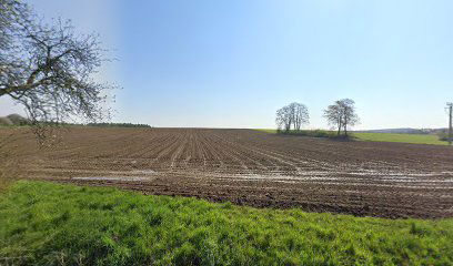 Područna škola Veliki Botinovac