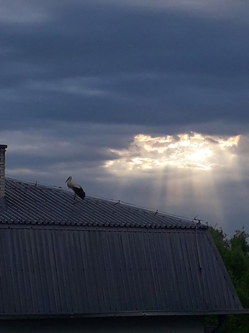 Турска глава