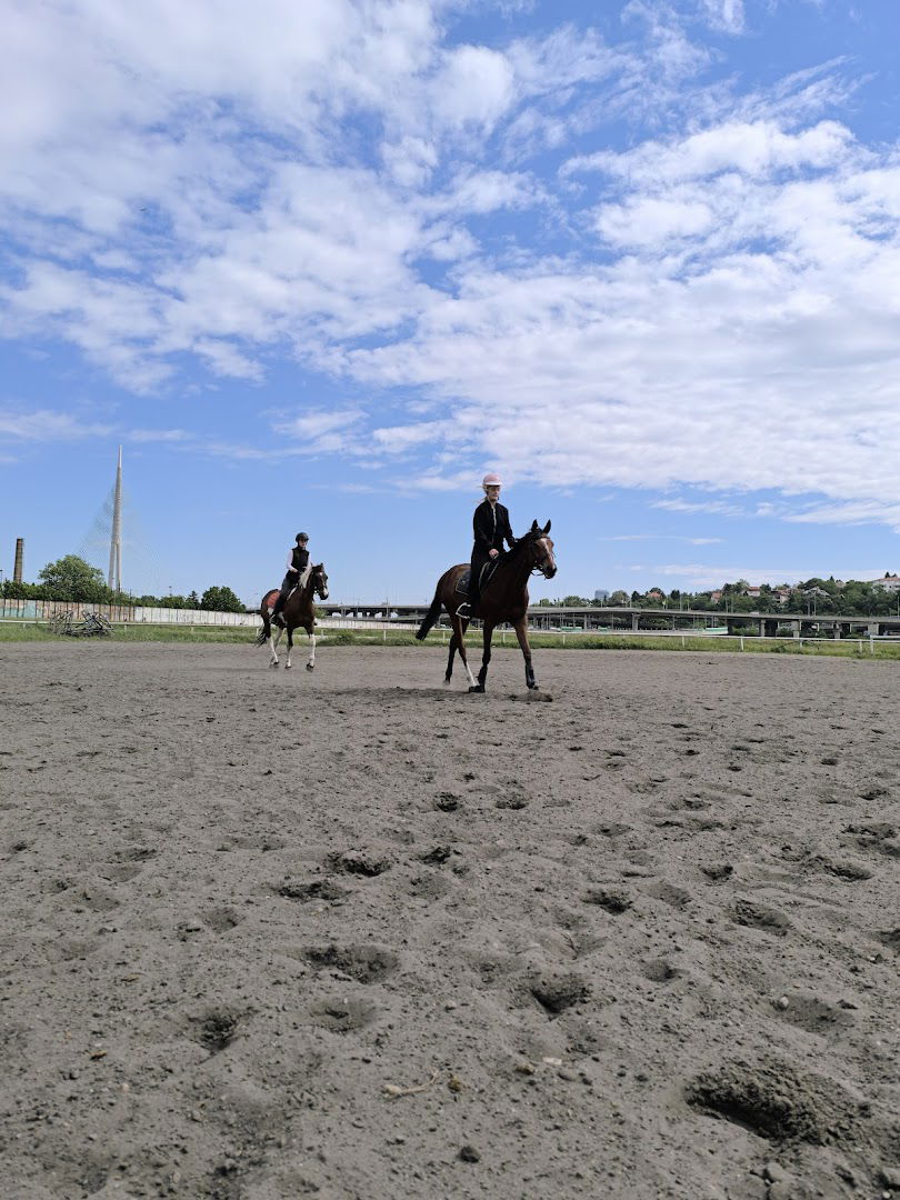 Škola jahanja Mustang