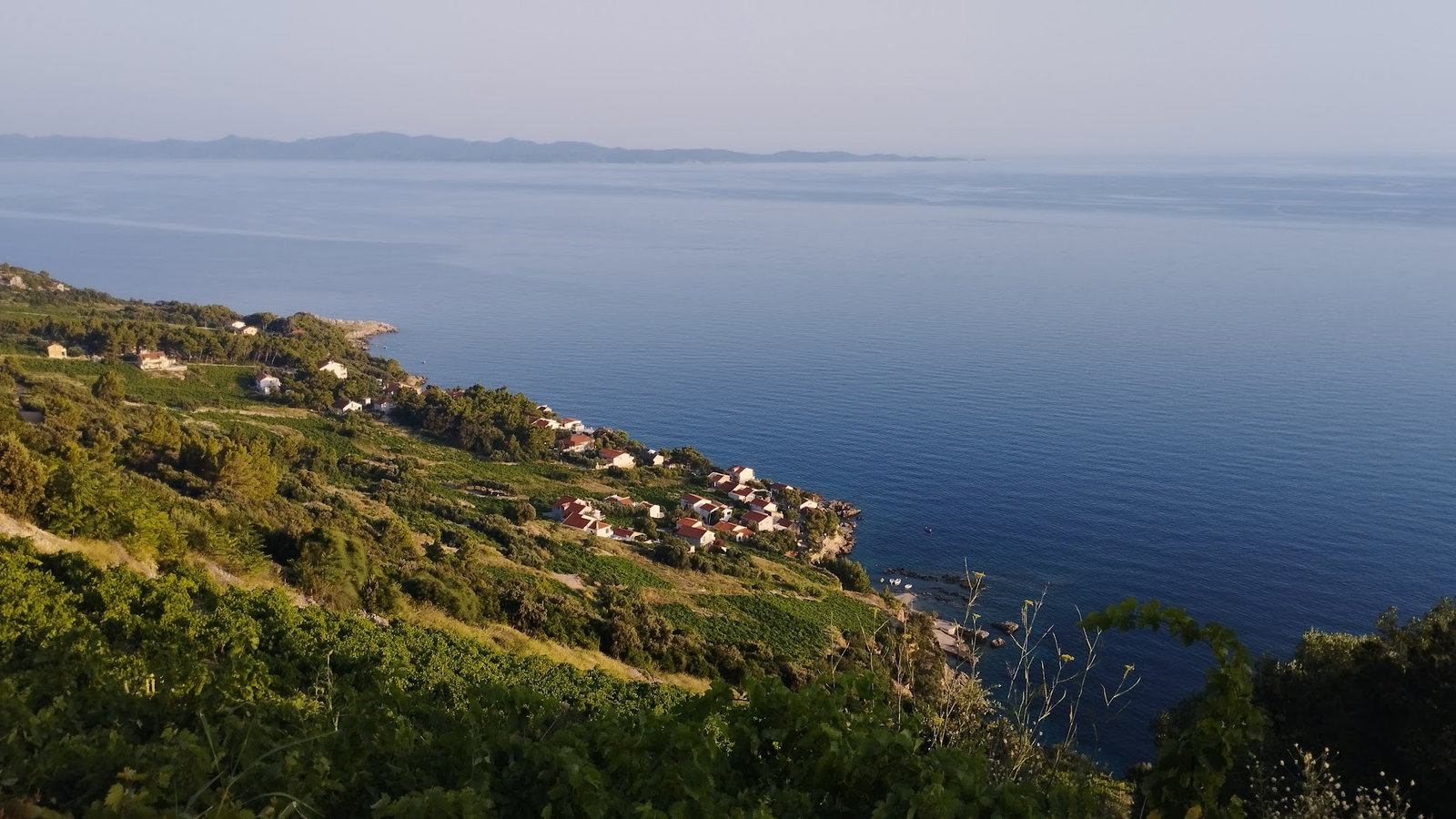 Dingač vineyards road