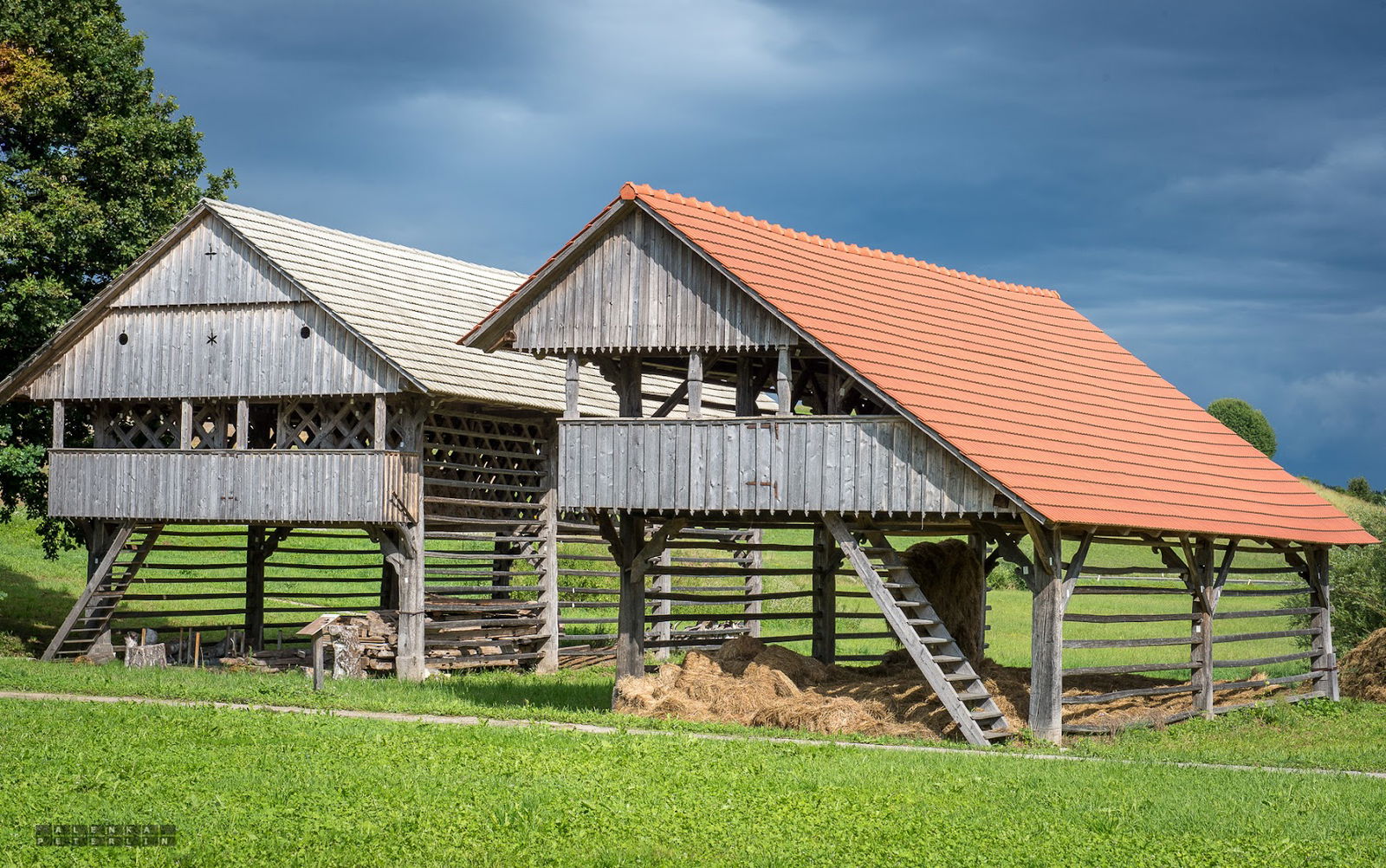 Občina Šentrupert