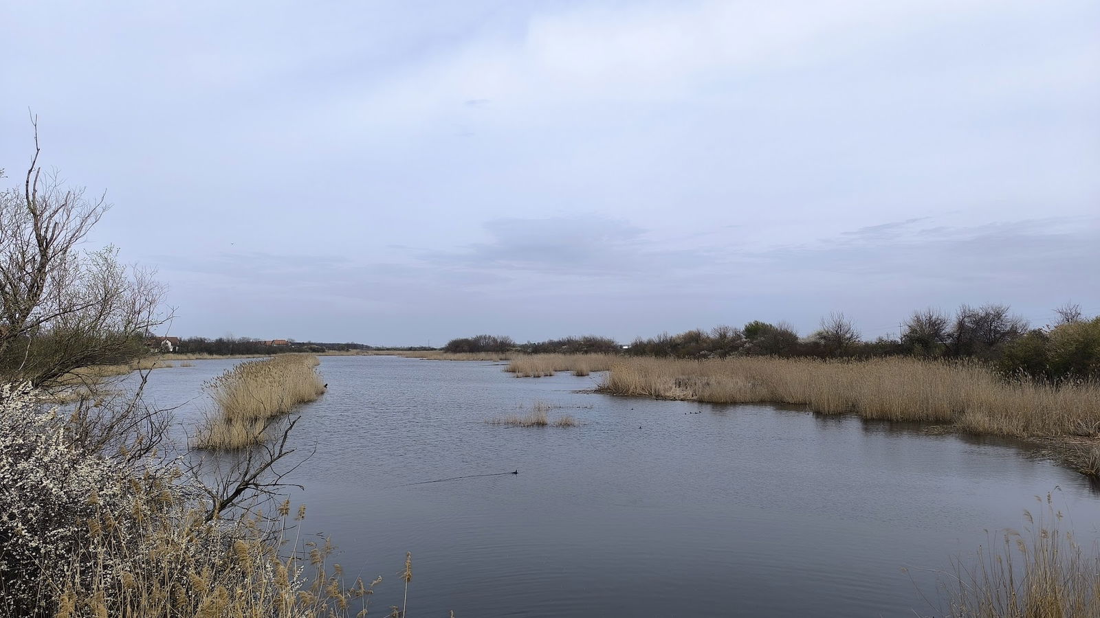 Omoljica Nadel - kanal