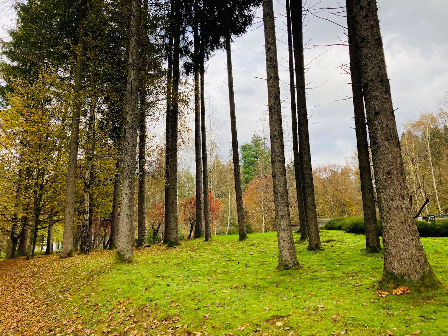 Cemetery Srebrniče