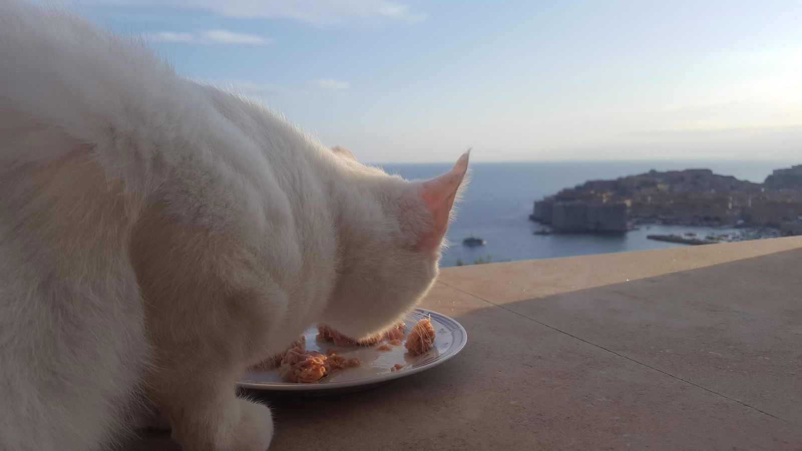 Ploce Apartments Petra Kresimira