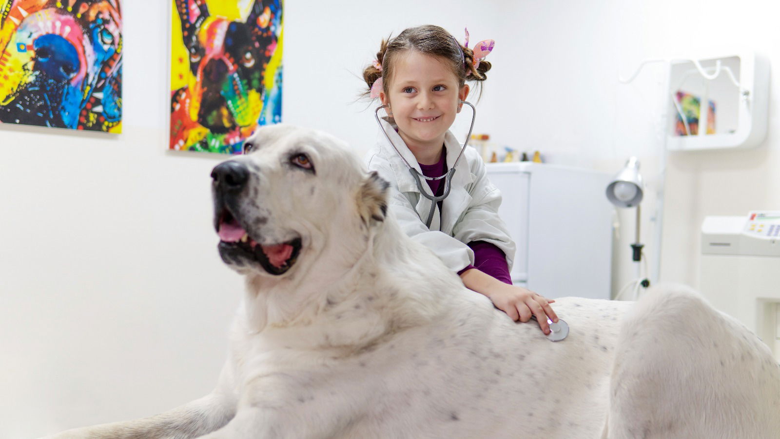 Vet4Pets-Sasa Kosijer