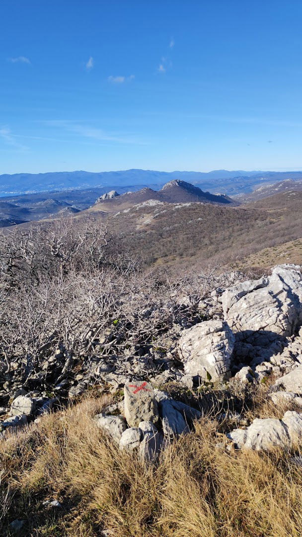 Glog - planinski vrh