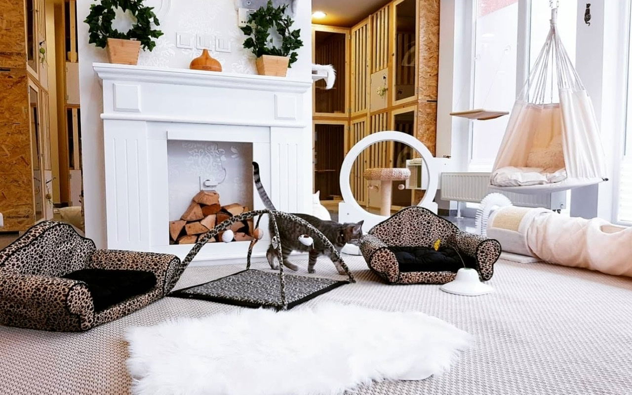 Royal Cat Hotel - Hotel za čuvanje mačaka