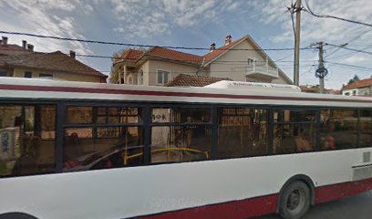 Željka Milivojevića