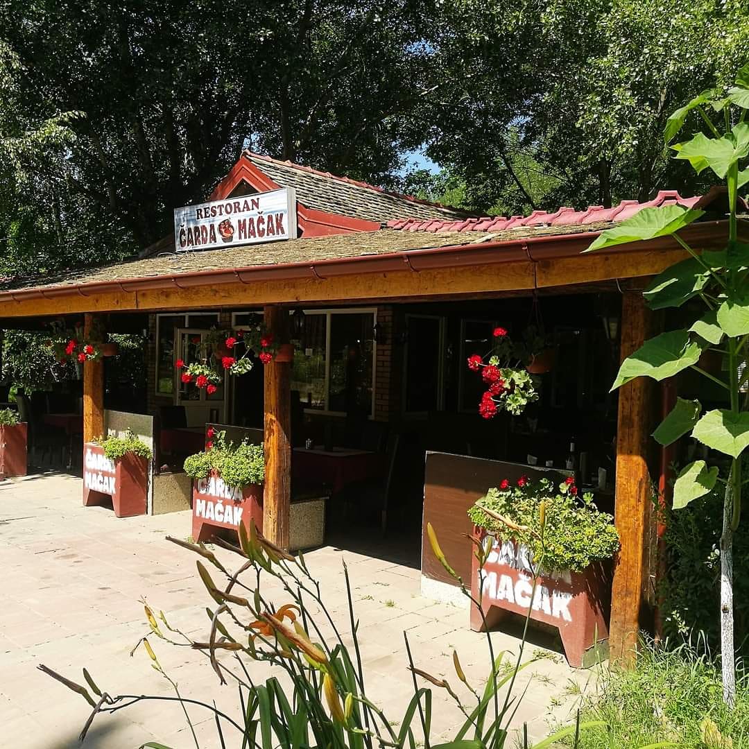 Riblji restoran Novi Sad Čarda Mačak