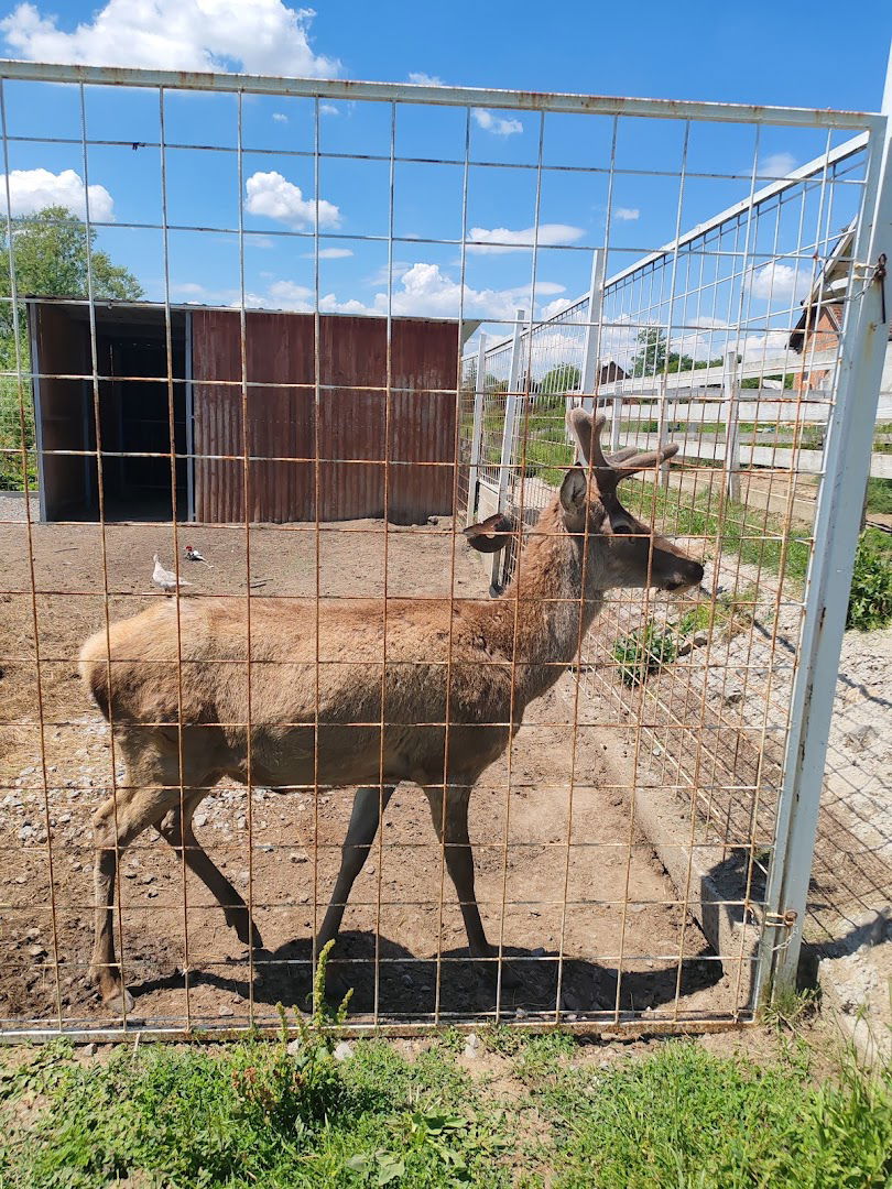 Zoološki vrt Takovo kod Uba