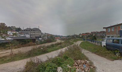 Milorada Dimitrijevica 1