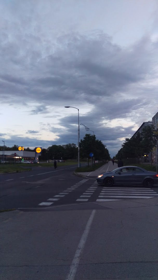 Lj.Posav.-Rimski put