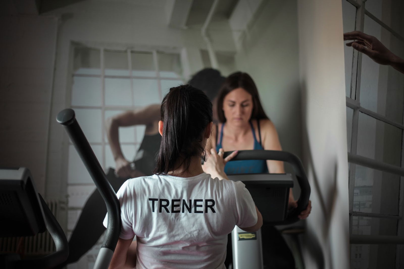 Fitnes Zarkovo - Step of beauty