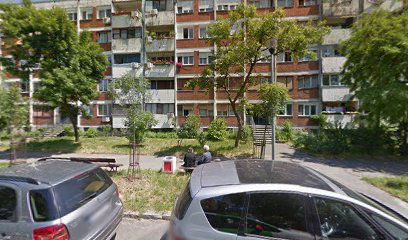 Aleksinackih rudara 29