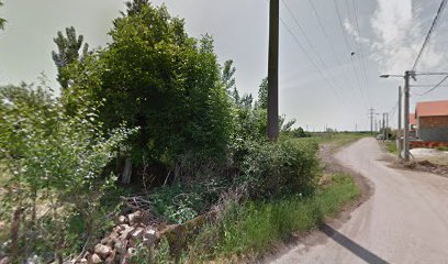 Kamp ,,tRi PoDrUmA u BuDaLi"