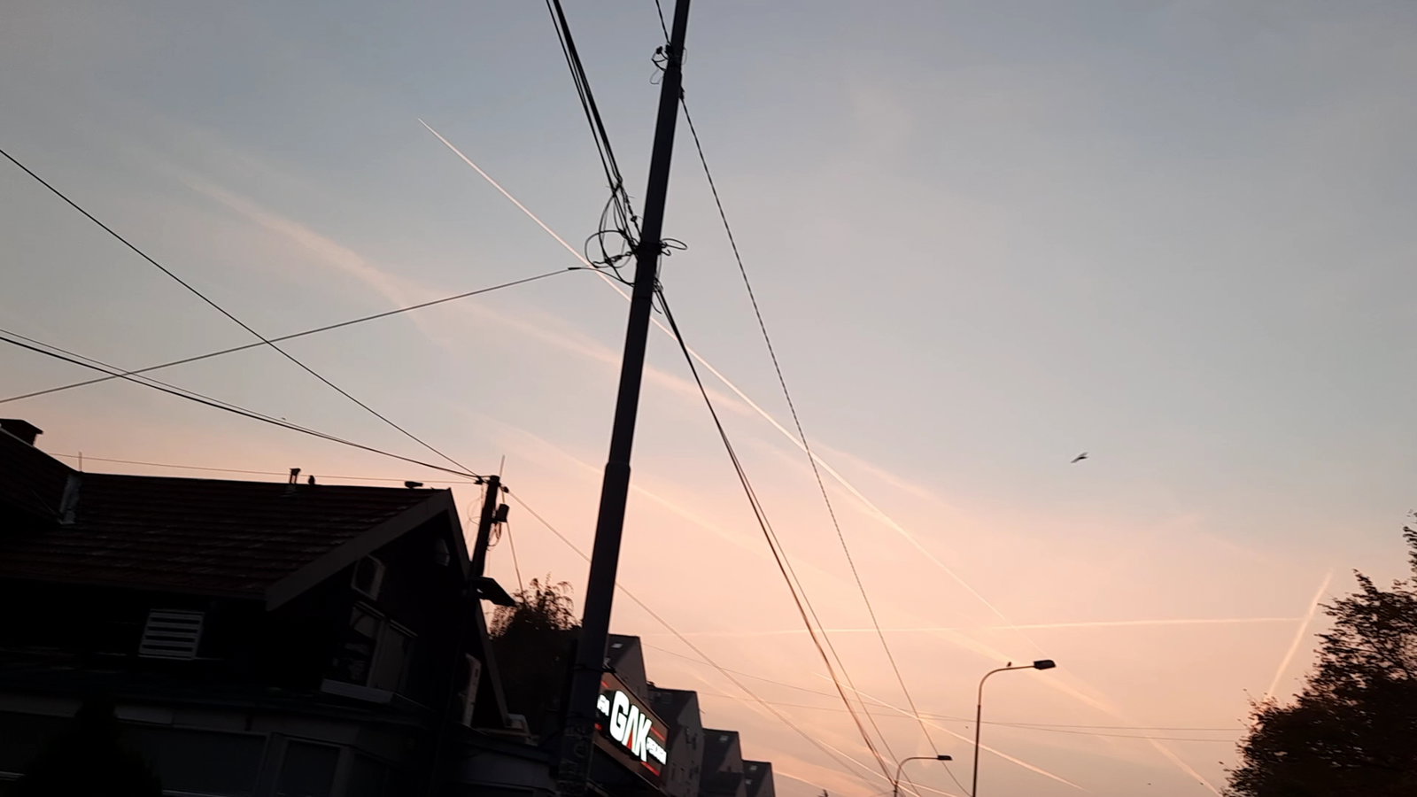 Nedeljka Gvozdenovića