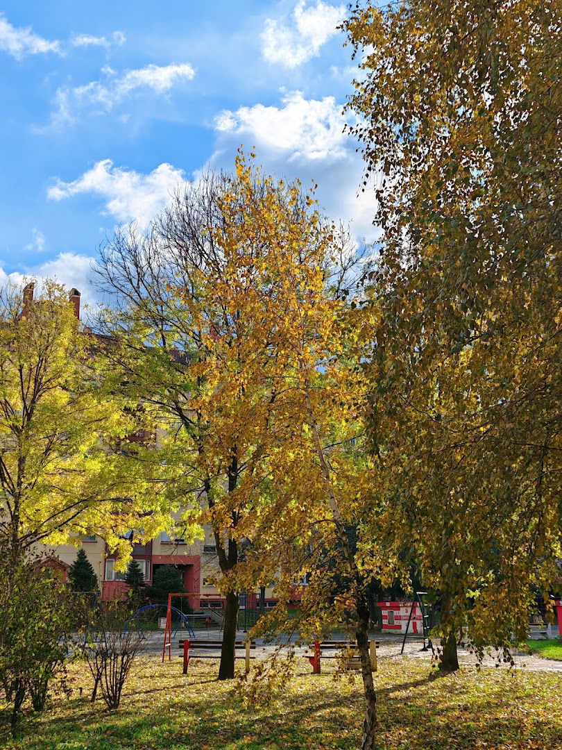 Kindergarten Small Ball