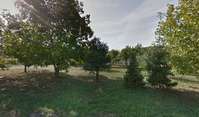 Park Lomnica - Dupli Tobogan