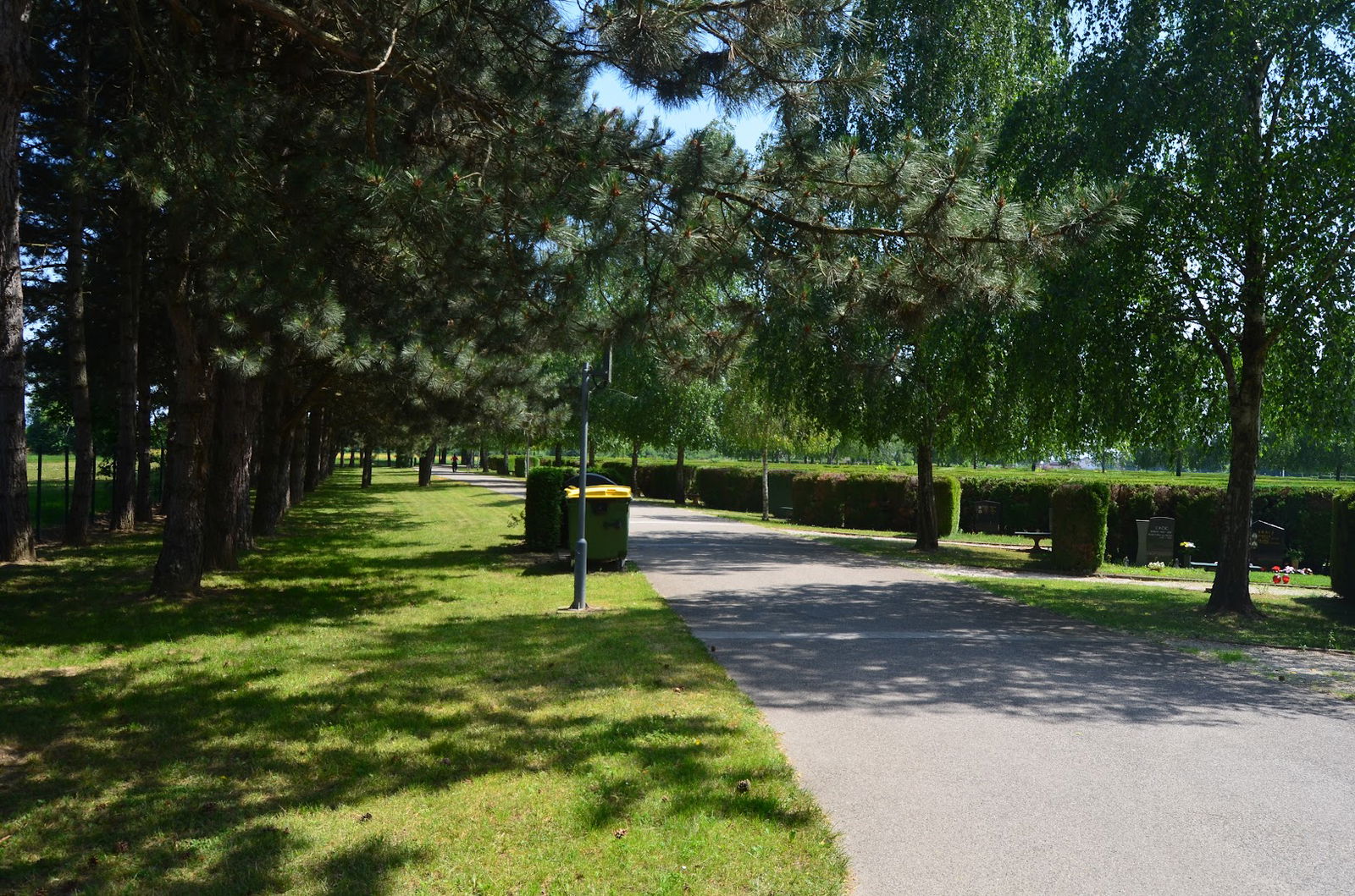 Pokopališče Dobrava - Cemetery