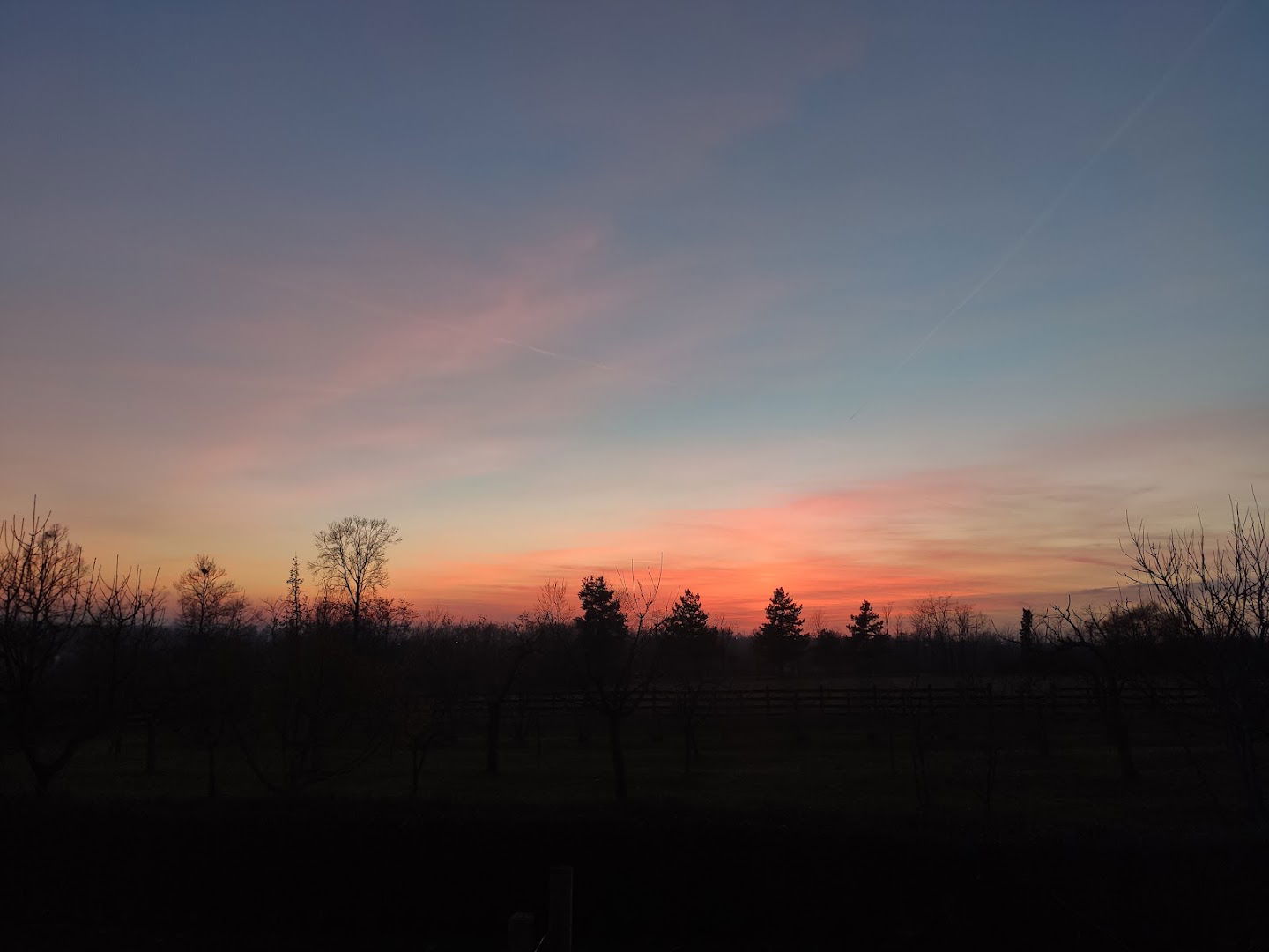 Popljoprivredno Gazdinstvo Djurdjevic