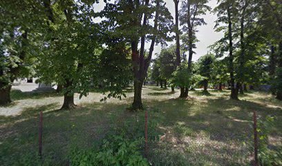 Grob Milan Lane Gutović