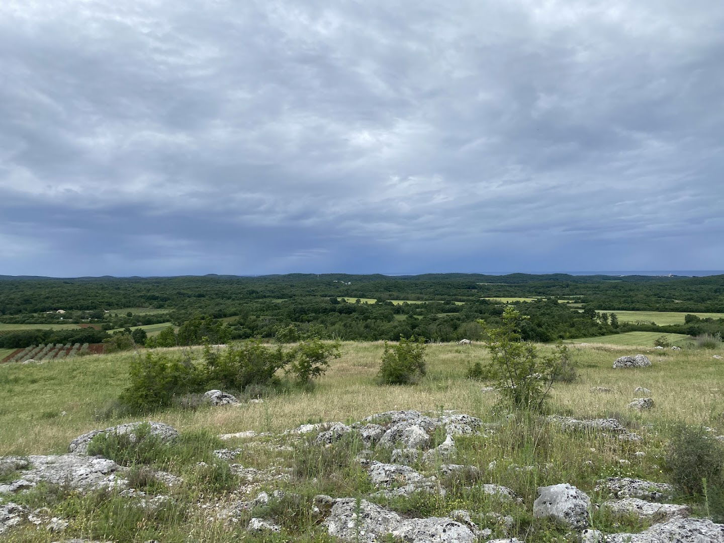 Osnovna škola Jože Pljočkića Montižana