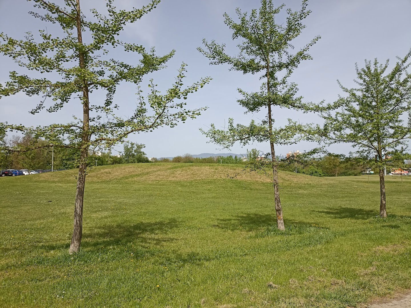 Sloboštinsko "Brdo"