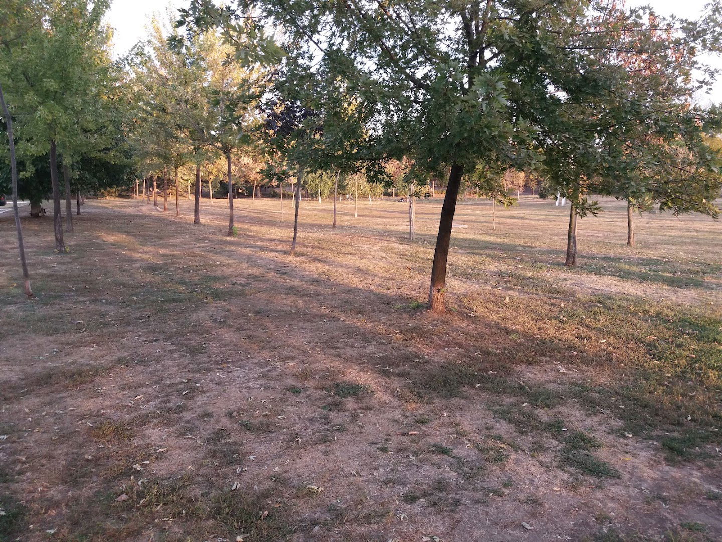 Део парка за псе