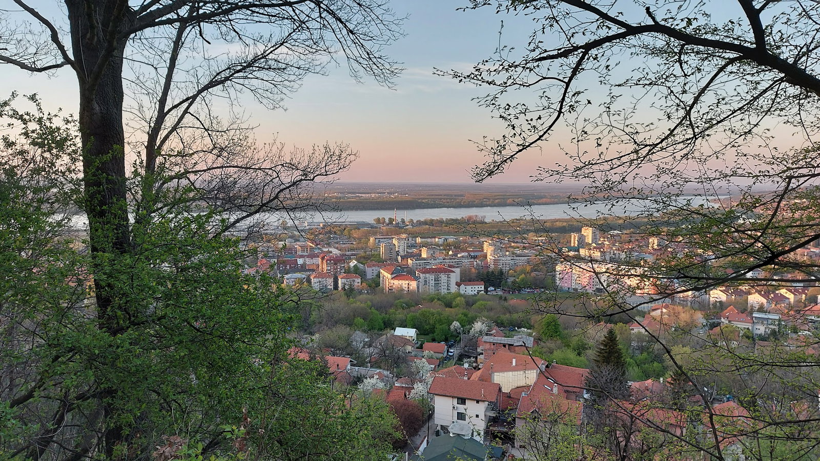 Окретница за аутобус број 65