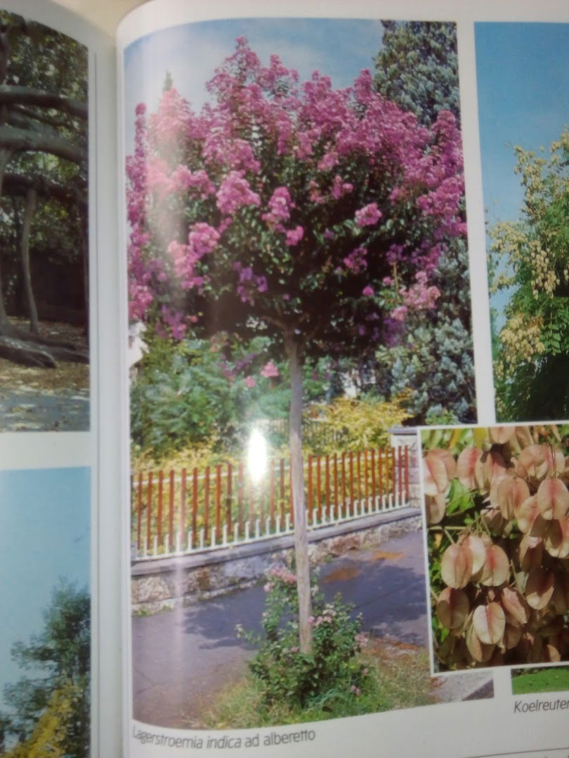 Samoborski vrt d.o.o.