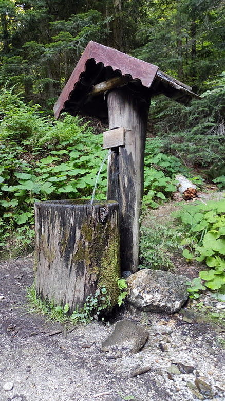 Izvor potoka Bliznec