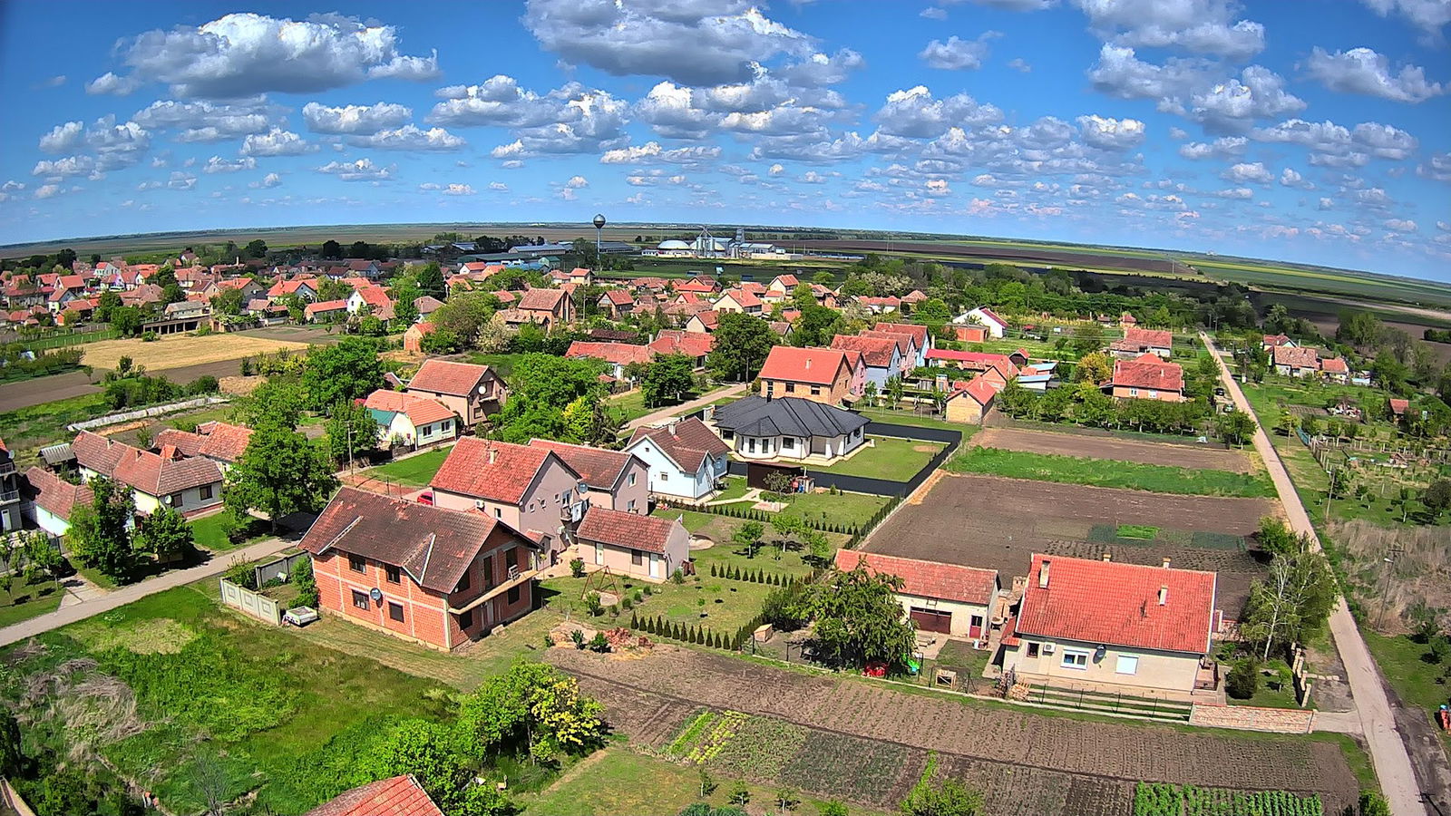 Пчелињак Војводић