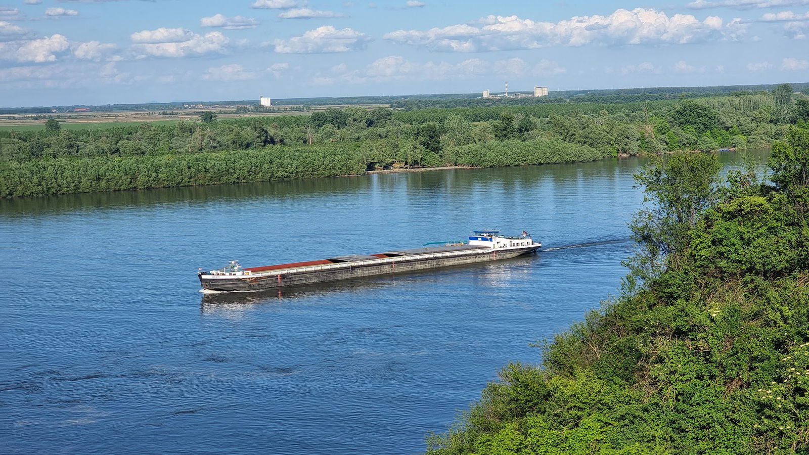 ЗП „Лесни профил Капела“