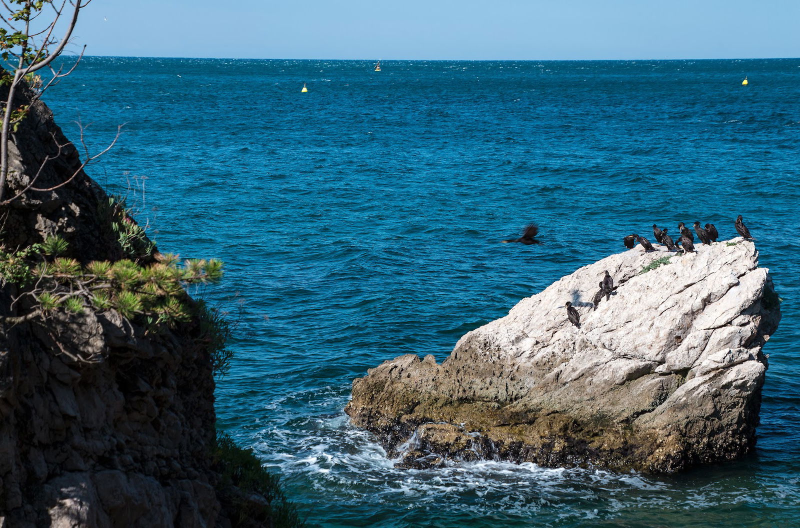 Infopoint Miramare PromoTurismoFVG