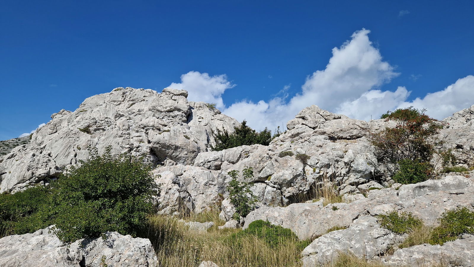 Tulove 4L Velebit Safari