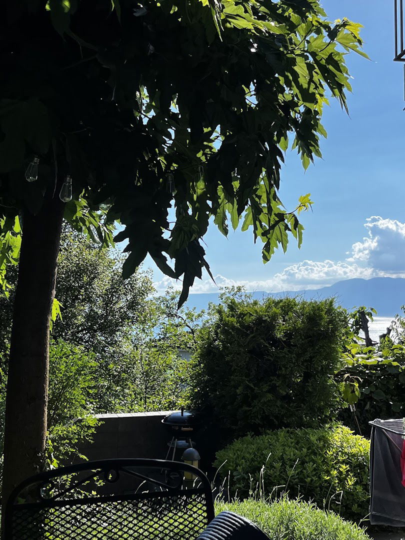 Apartment Blue&Green