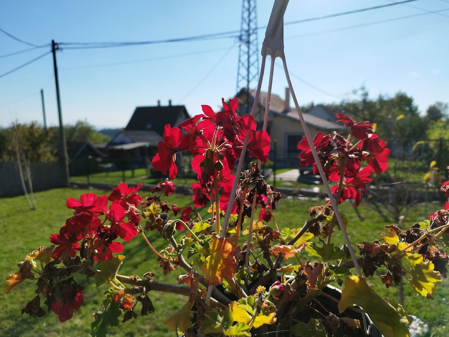 Kucica "Zvezdano nebo"