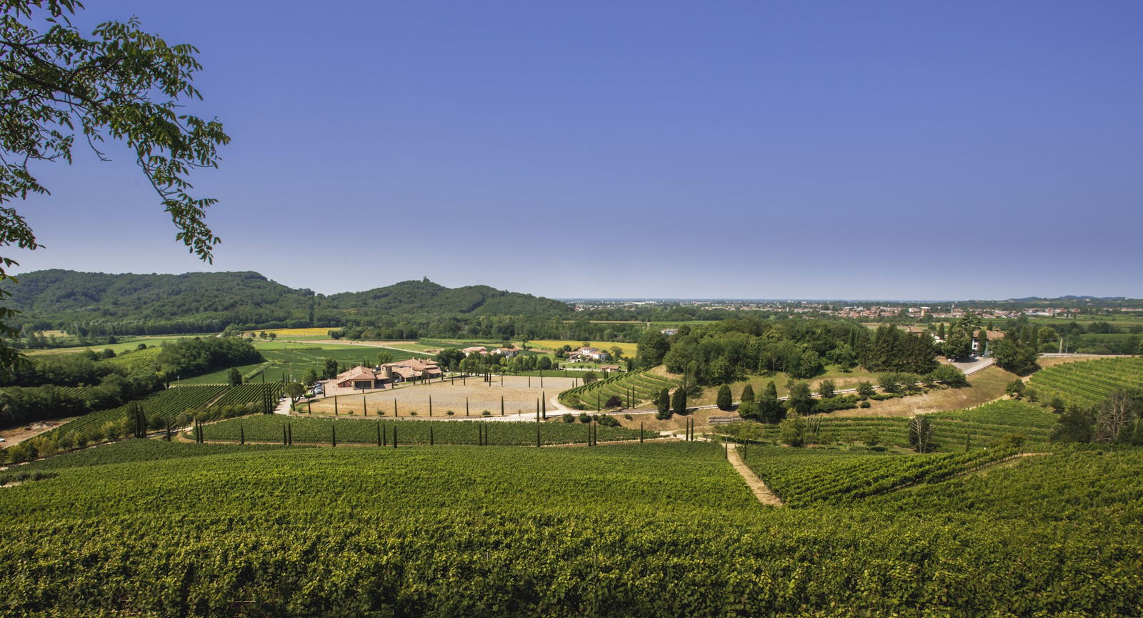 Jermann Winery - Ruttars