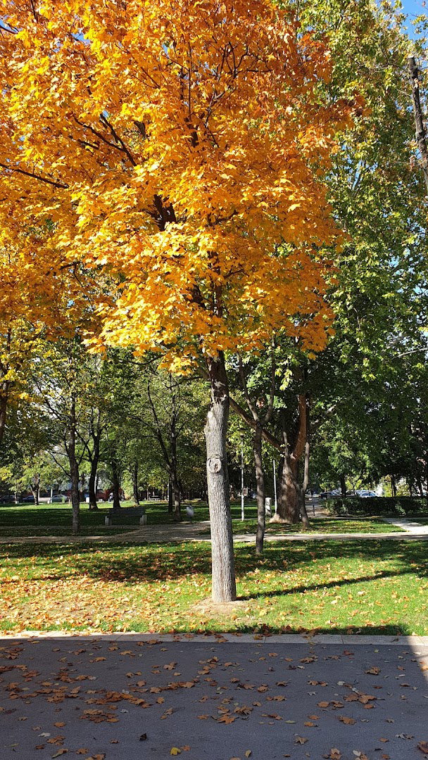 Šetalište "Lazaro Kardenasa"
