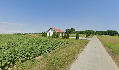 Vraneševci cemetery
