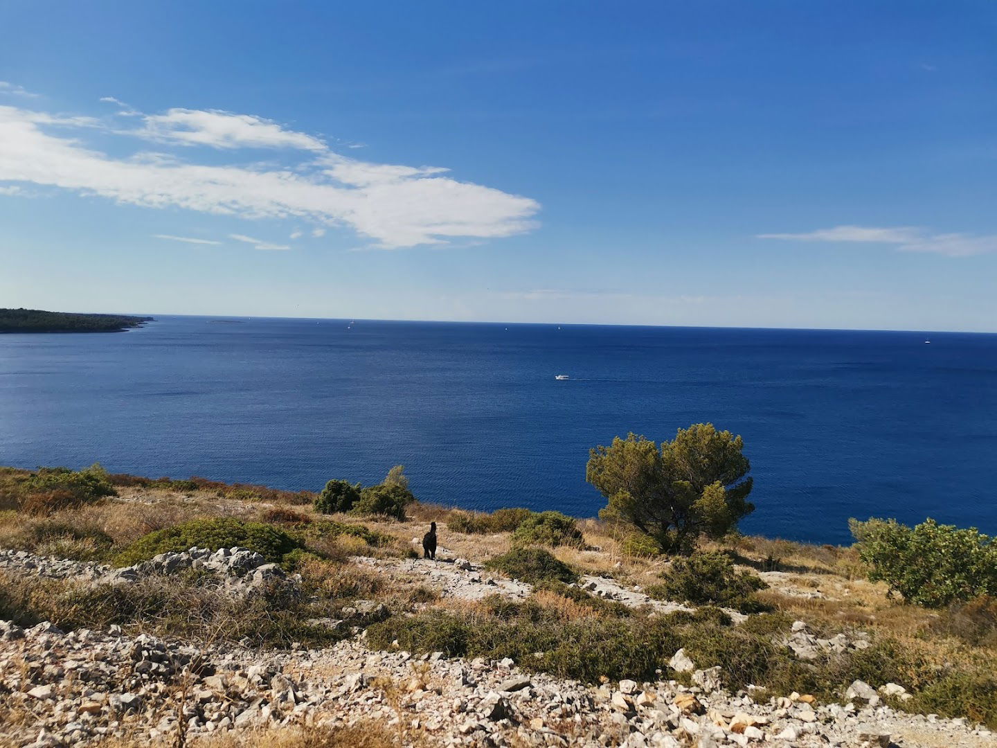 Foto point gornji kamenjak