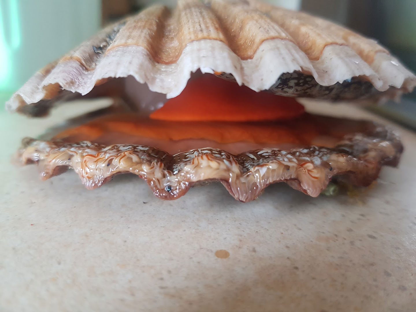 Apartmani Bozic-Omišalj