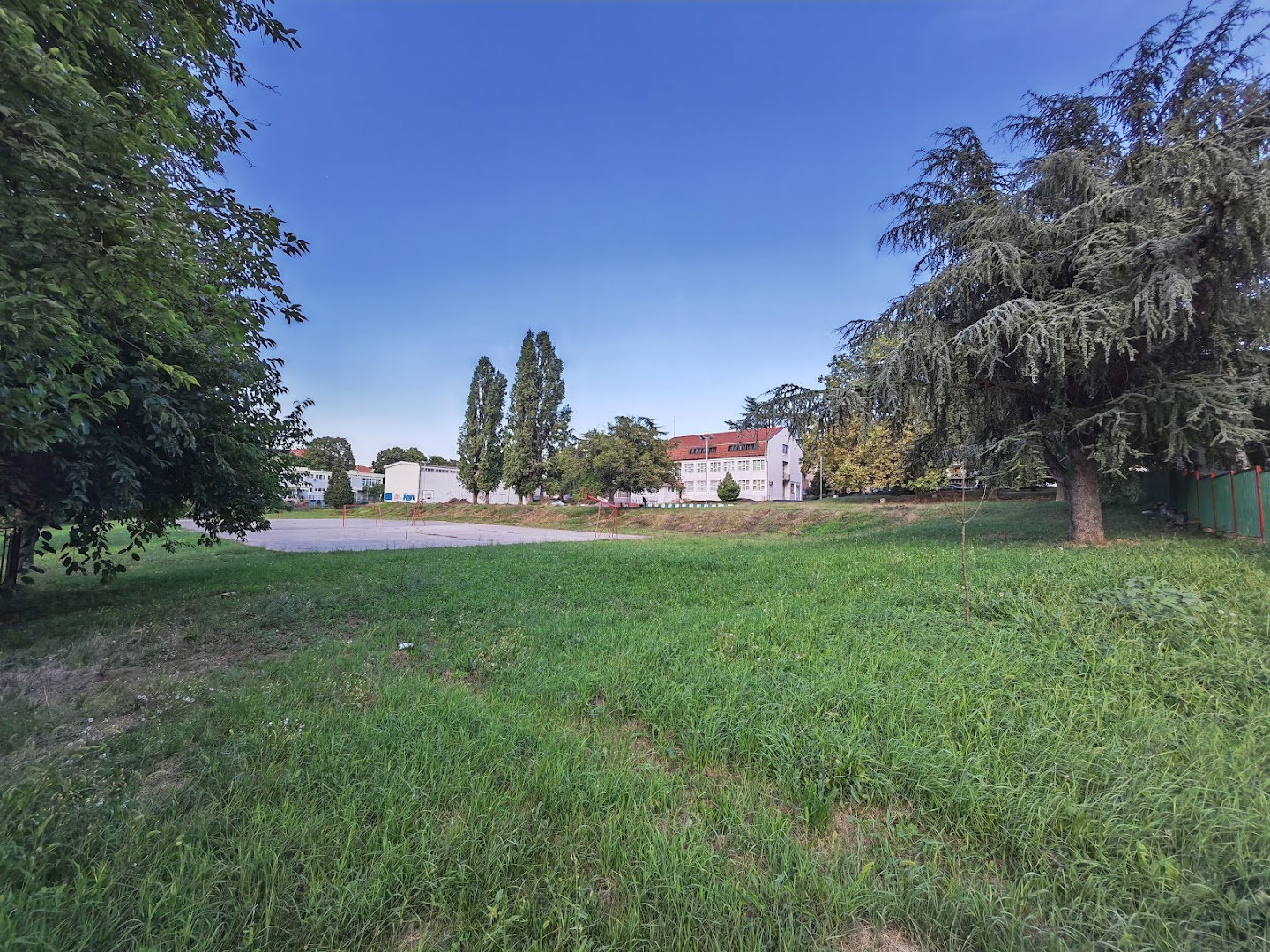 Primary School Miroslav Antić