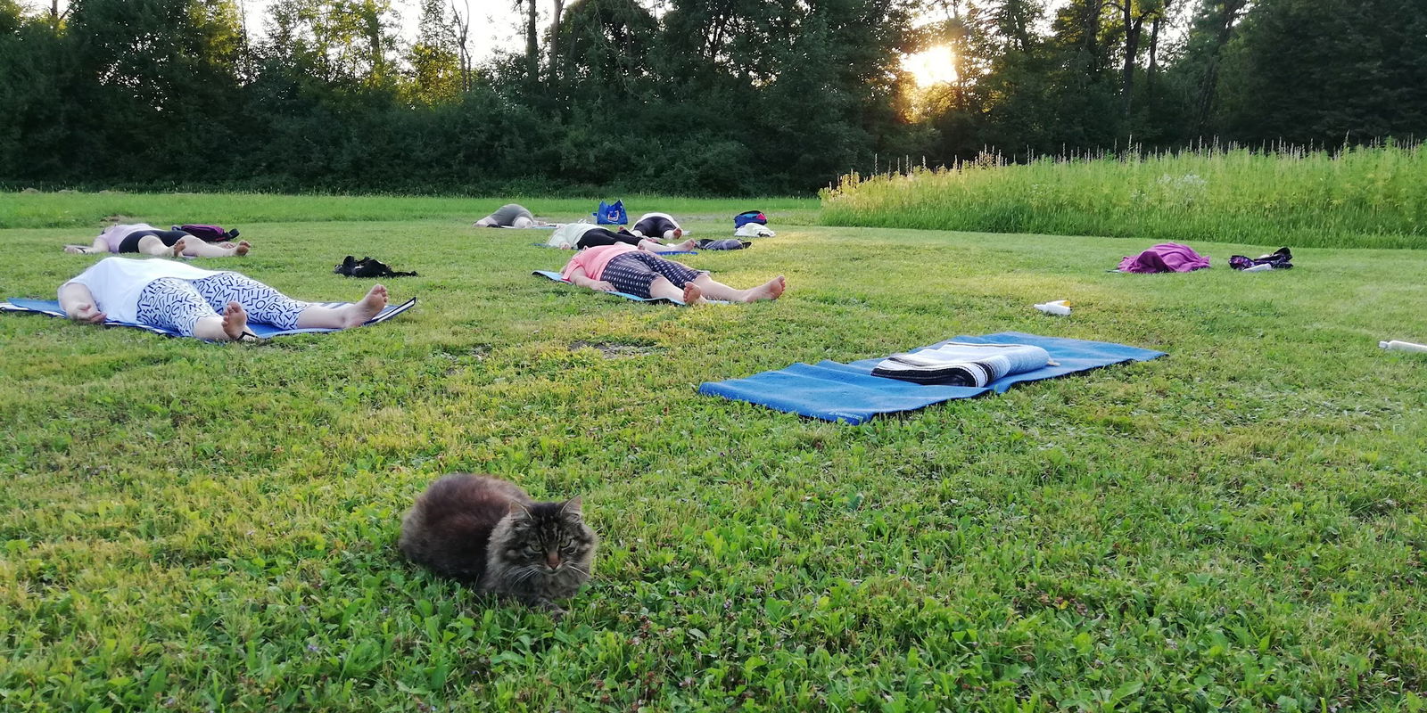 Jogalist, joga, izobraževanje, Stanka Slabanja s.p.