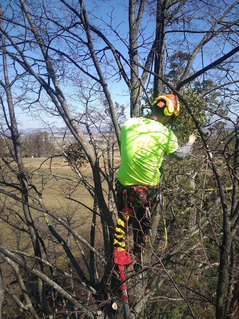 Gozdar in Arborist Rado Nadvešnik s.p.