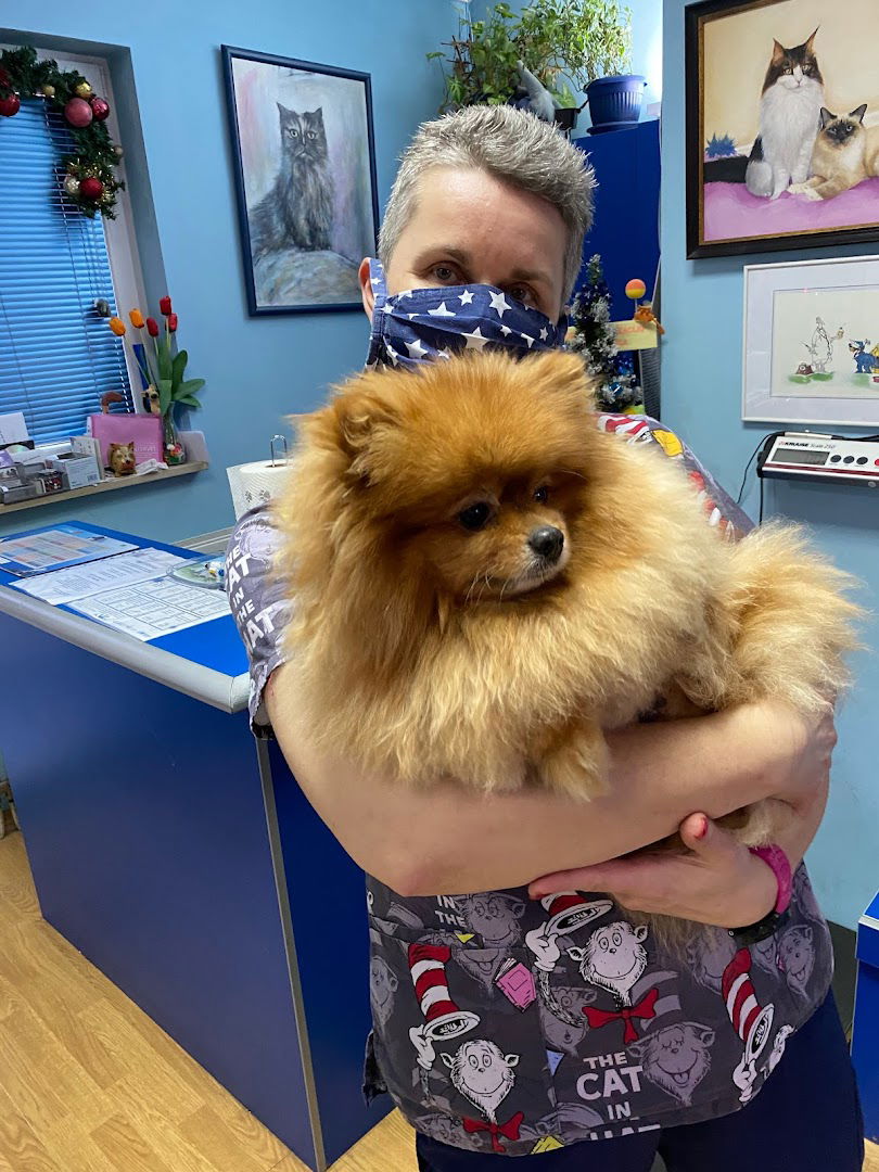 Veterinarska ambulanta Intervet