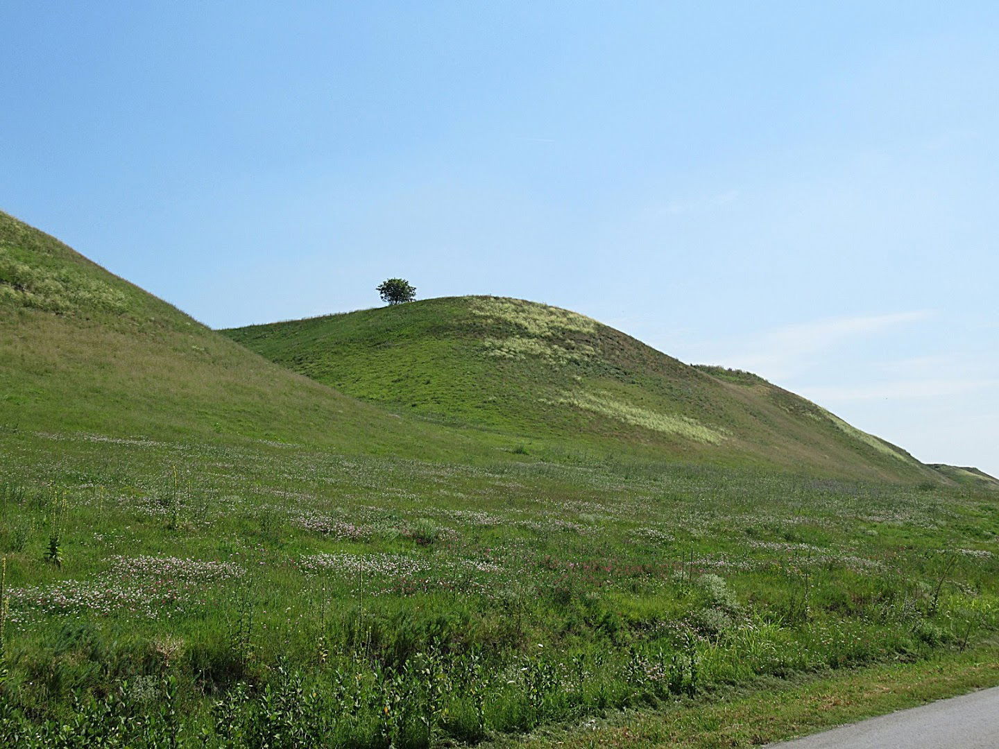 Специјални резерват природе "Тителски брег"