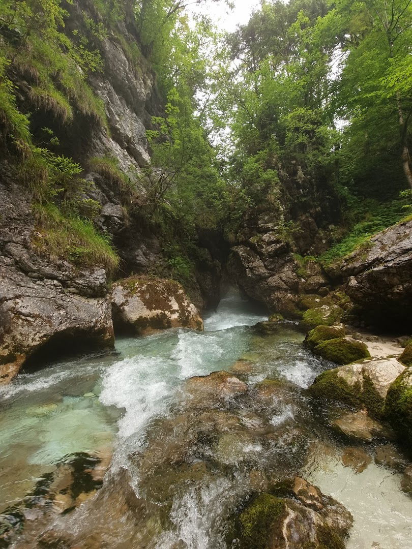 Korita Kamniške Bistrice